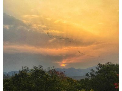 The ManStays (Homestay nearby Ganges) Rishikesh