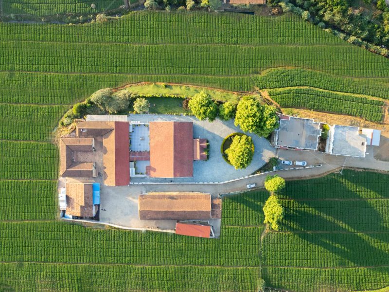 StayVista at The Alcove in Ooty | 4 BHK Luxury Holiday Home